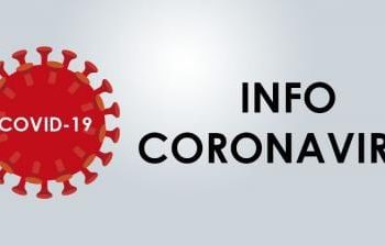 Boletim_Informativo_Semanal_COVID_Nr_11_2020-